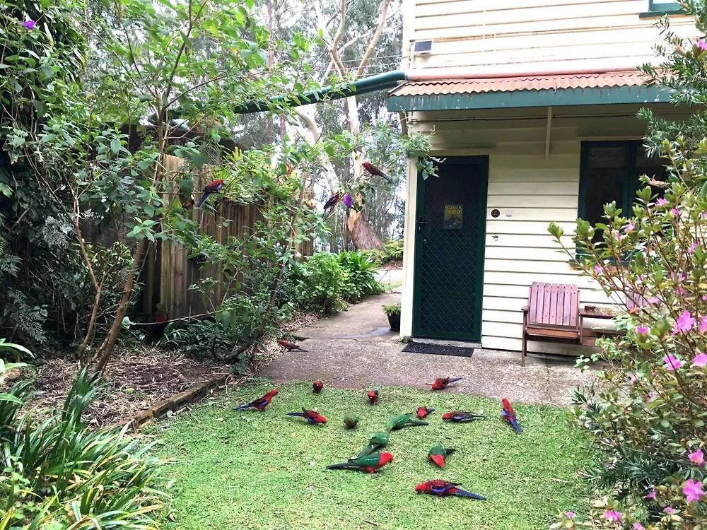 Rosella'S On Springbrook Hotel Australia